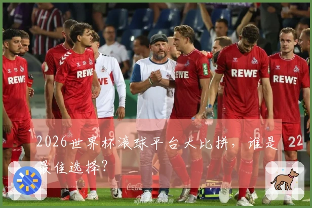 2026世界杯滚球平台大比拼，谁是最佳选择？