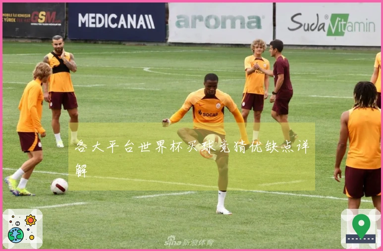 各大平台世界杯买球竞猜优缺点详解