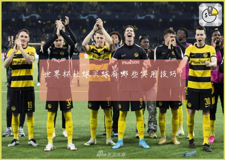 世界杯让球买球有哪些实用技巧？