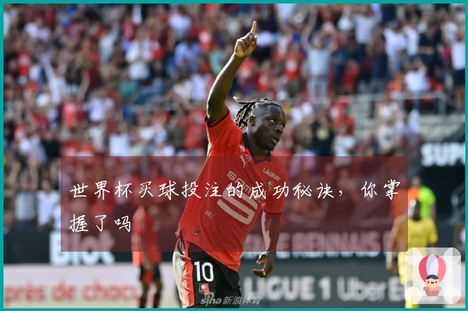世界杯买球投注的成功秘诀，你掌握了吗