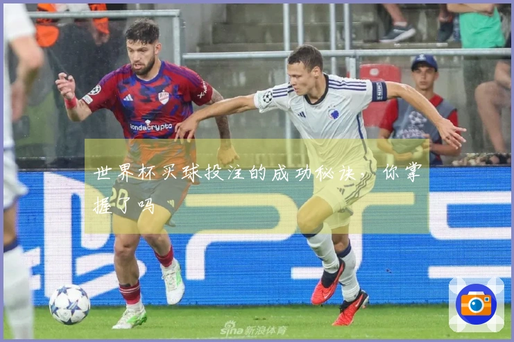 世界杯买球投注的成功秘诀，你掌握了吗